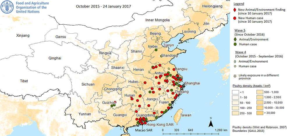 H7N9ra fig3