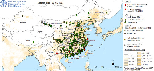 H7N9ra1708 fig3.jpg