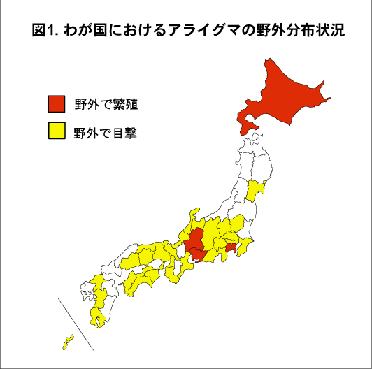 日本のアライグマの野外分布状況の画像