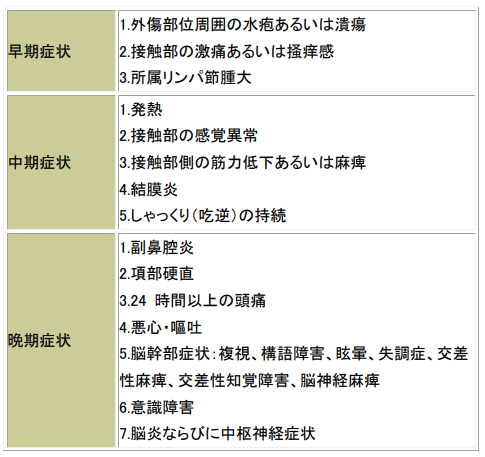 Bウイルス病の臨床症状（Holmes GP et al.,1995 に準拠）の画像