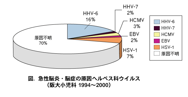 1994年から2000年の阪大小児科における急性脳炎・脳症の原因ヘルペス科ウイルスの分布を示す円グラフ。原因不明が70%で最も多く、次いでHHV-6が16%、HSV-1が7%と続く。その他、HCMV 3%、HHV-7とEBVがそれぞれ2%を占める。各ウイルスは異なる色で区分され、右側に凡例が表示されている。データは阪大小児科の症例に基づいている。