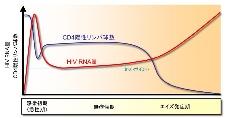 HIV感染症の経過。第21版HIV感染症「治療の手引き」の画像