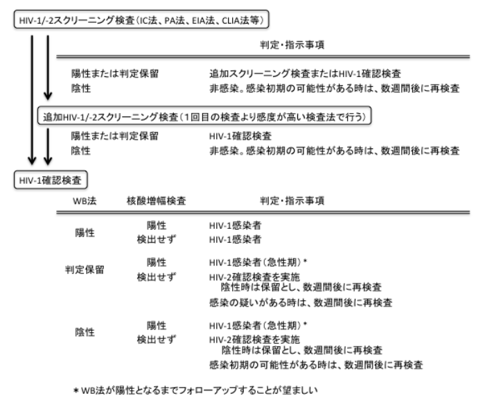 HIV-1/2検査のフローチャートの画像