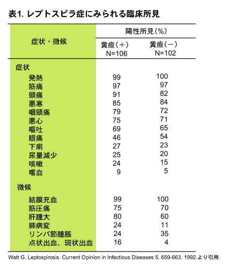 レプトスピラ症にみられる臨床所見の画像