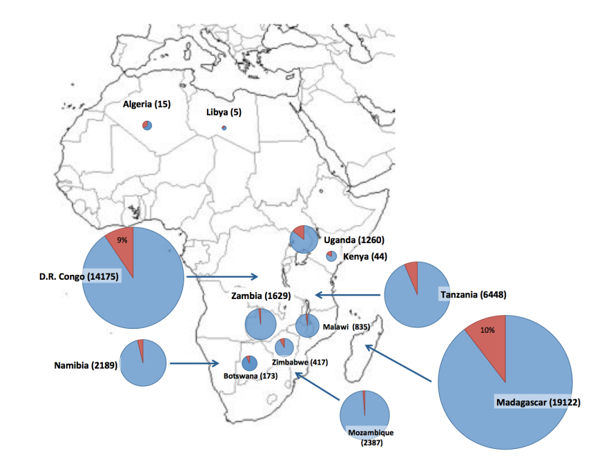 アフリカにおける分布を示す地図。各国の症例数を円グラフで表示しており、大きさは報告数に比例。最多はコンゴ民主共和国の14,175例（青90%、赤10%）とマダガスカルの19,122例（青90%、赤10%）。その他、タンザニア6,448例、モザンビーク2,387例、ナミビア2,189例、ザンビア1,629例、ウガンダ1,260例、マラウイ835例、ジンバブエ417例、ケニア44例と続く。北アフリカではアルジェリア15例、リビア5例と少数。
