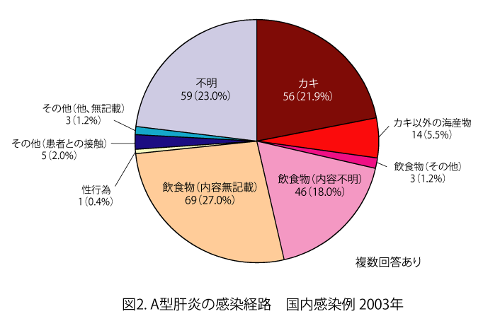 2003年のA型肝炎の国内感染経路を示す円グラフ。主な感染経路の内訳は、カキが21.9%（56件）、カキ以外の海産物が5.5%（14件）、飲食物（その他）1.2%（3件）、飲食物（内容不明）が18.0%（46件）、飲食物（内容無記載）が27.0%（69件）、性行為が0.4%（1件）、その他（患者との接触）が2.0%（5件）、その他（他、無記載）が1.2%（3件）、不明が23.0%（59件）となっている。複数回答可。