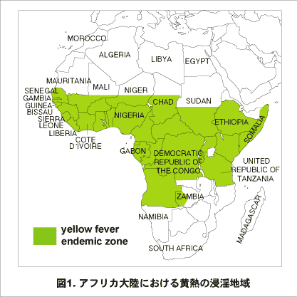 アフリカ大陸における黄熱の浸淫地域の画像