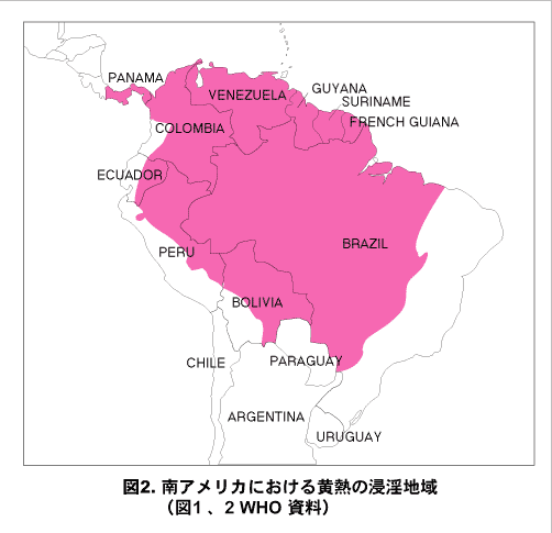 南アメリカにおける黄熱の浸淫地域の画像