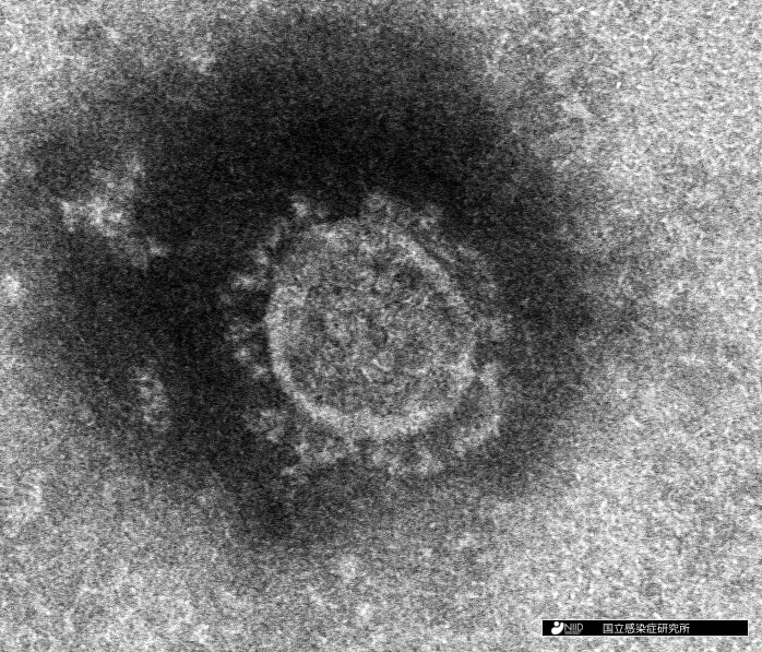 corona image