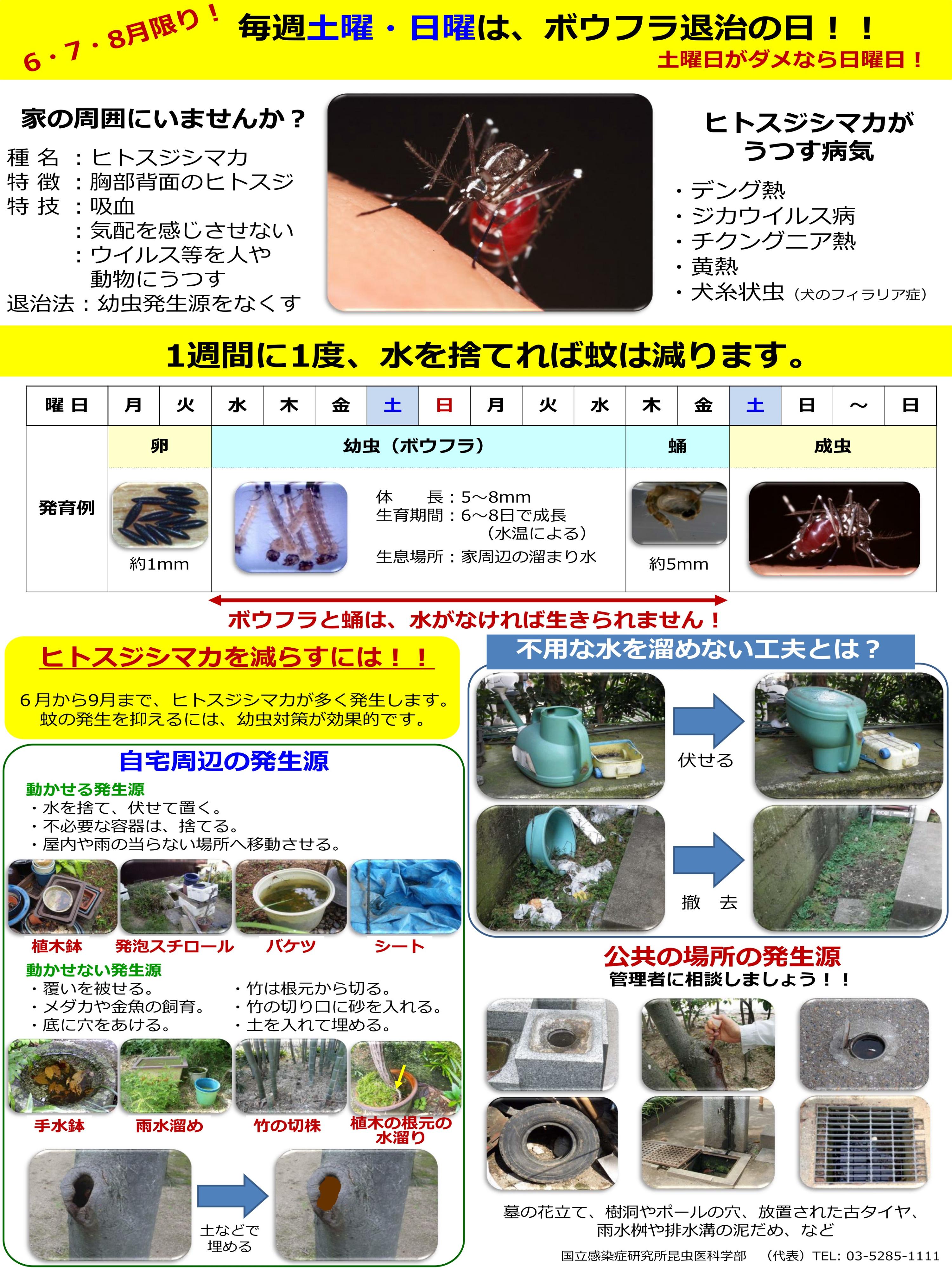 ヒトスジシマカ対策ポスターの画像
