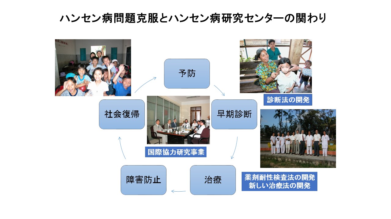 ハンセン病問題克服とハンセン病研究背インターの関りを図と写真で表している