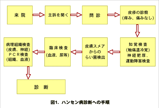 ハンセン病診断への手順