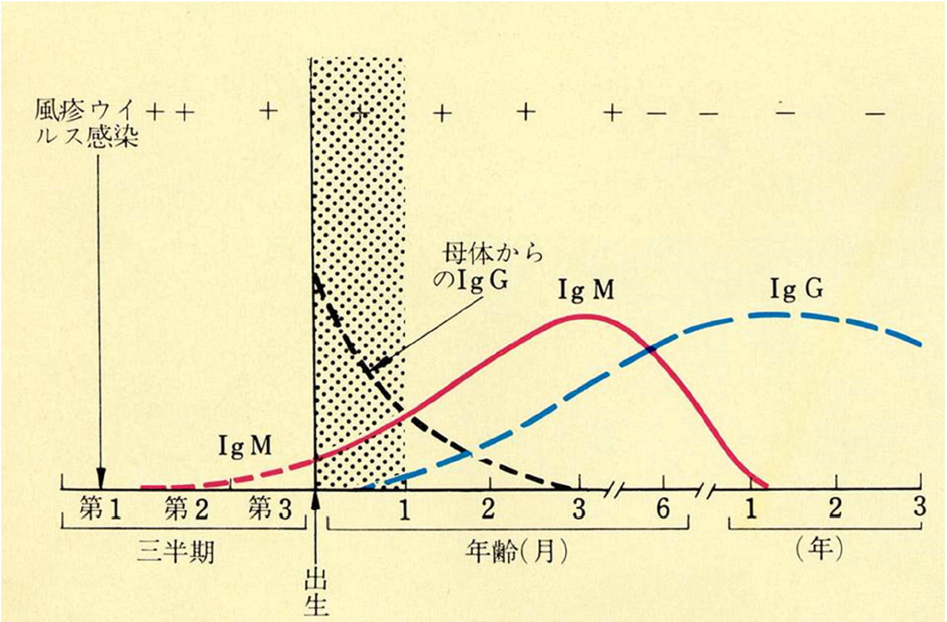 Krugman’s Infectious Diseases of Children から引用翻訳の画像