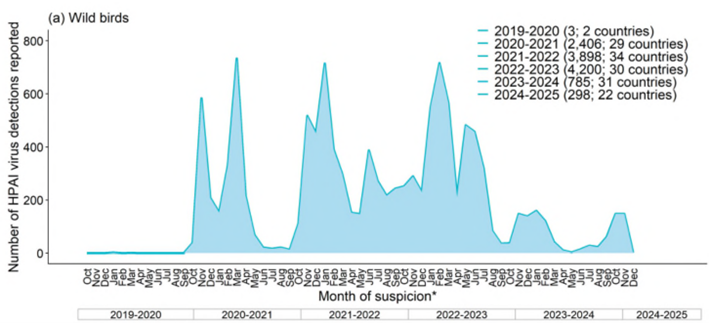  欧州における野鳥のHPAIV検出状況 2019年10月1日～2024年9月20日