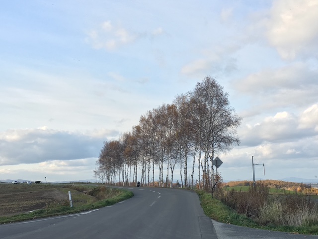 IASRの画像