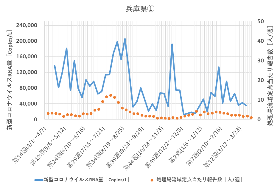 Hyogo_1-1_2024.png